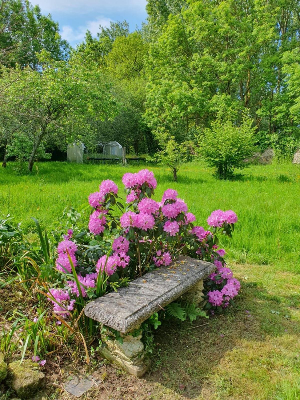 La Guyonnais Bed & Breakfast Quévert Eksteriør bilde